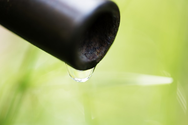 Czy warto kupić zbiornik na wodę deszczową?